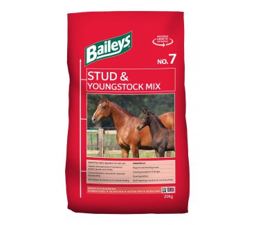 No.7 Stud & Youngstock Mix